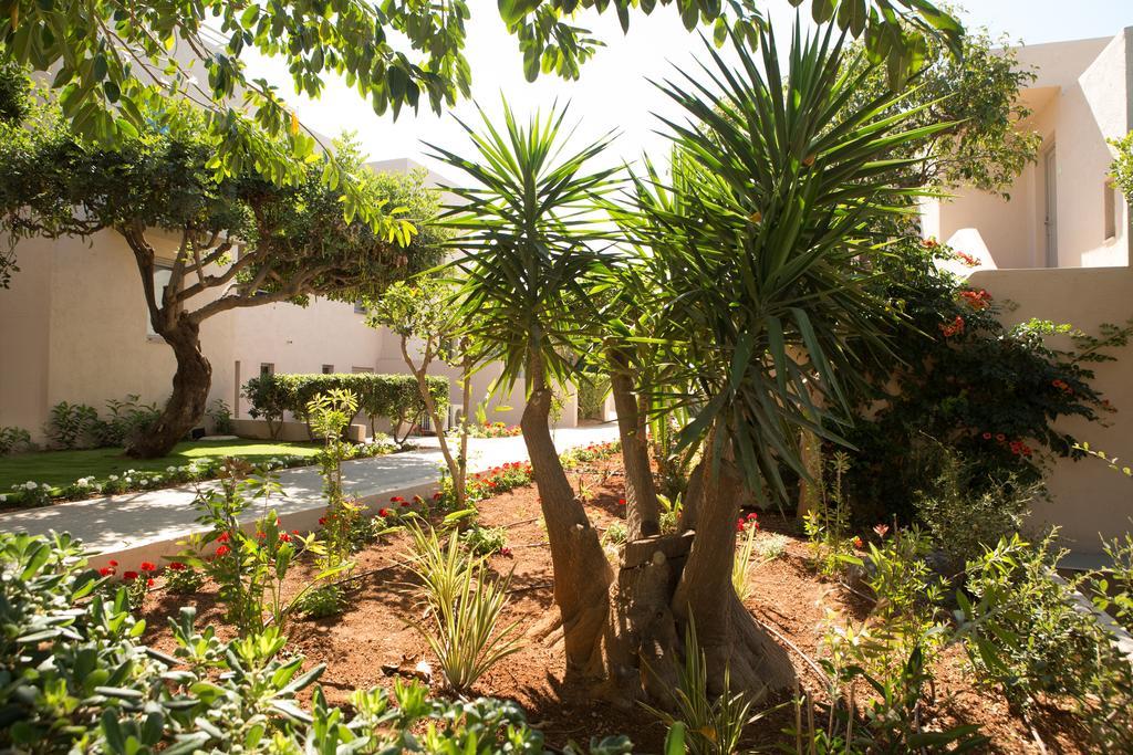 Sundance Apartments & Suites Hersonissos  Dış mekan fotoğraf